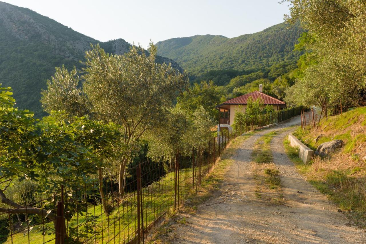 Sunset Holiday Home Tivat Bagian luar foto